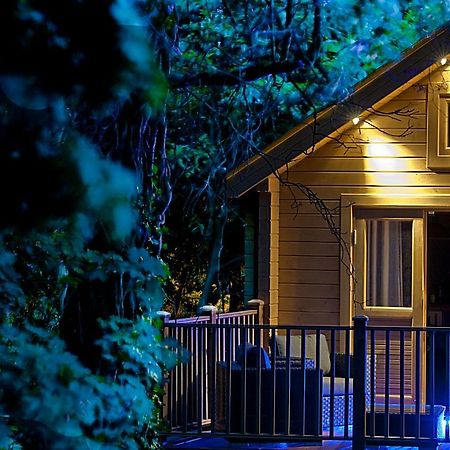 Alum Chine Log Cabin Villa Bournemouth Bagian luar foto