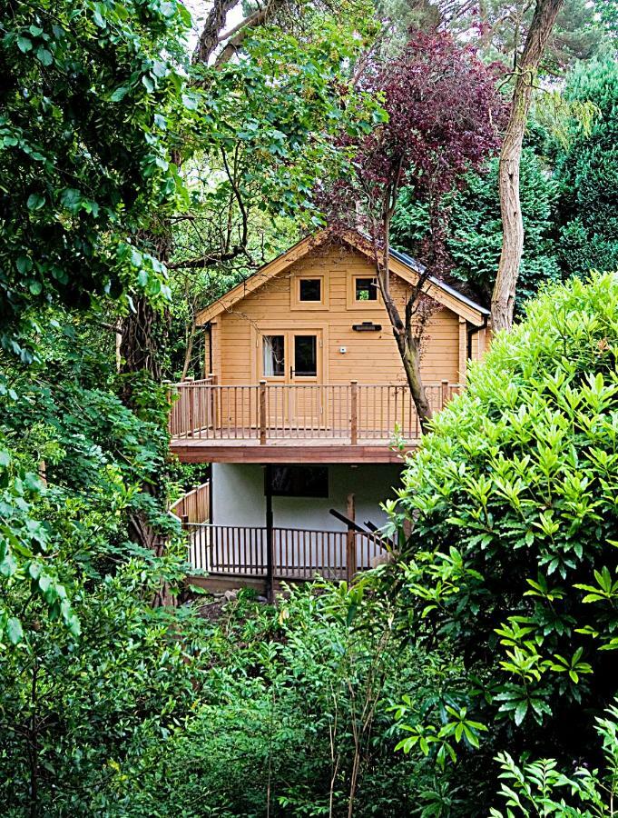 Alum Chine Log Cabin Villa Bournemouth Bagian luar foto
